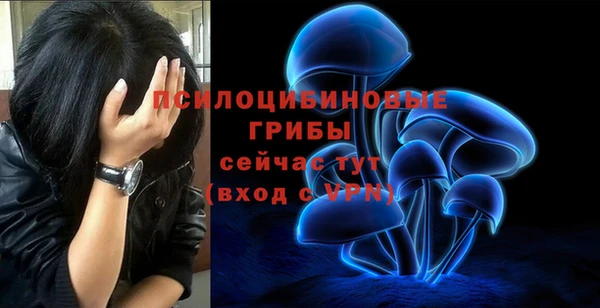 стаф Саяногорск